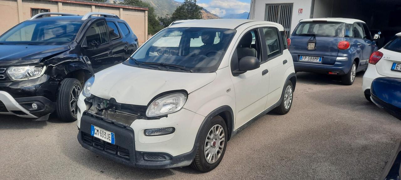Fiat Panda 1.0 FireFly S&S Hybrid anno 2023