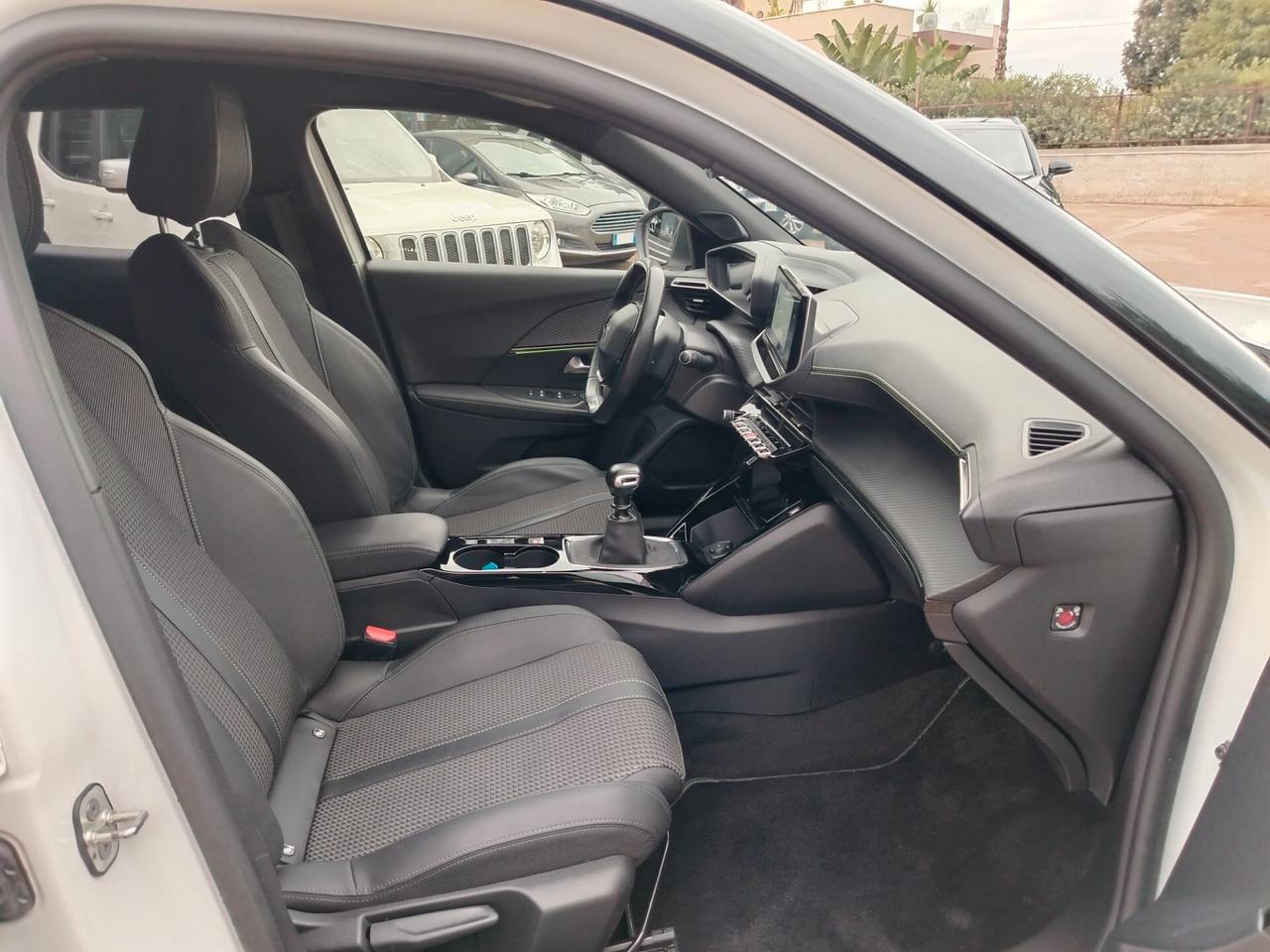 Peugeot 2008 1.5 Bluehdi GT Line 110cv