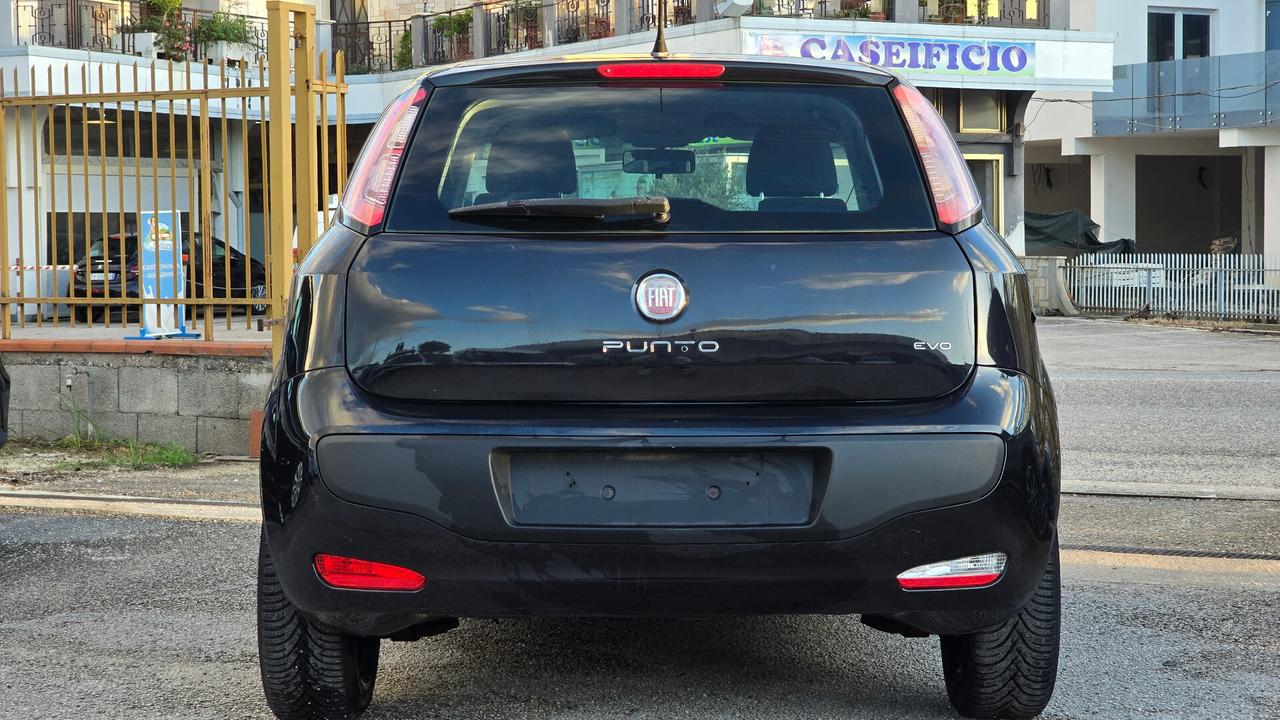 Fiat Punto Evo 1.4 5 porte S&S Active