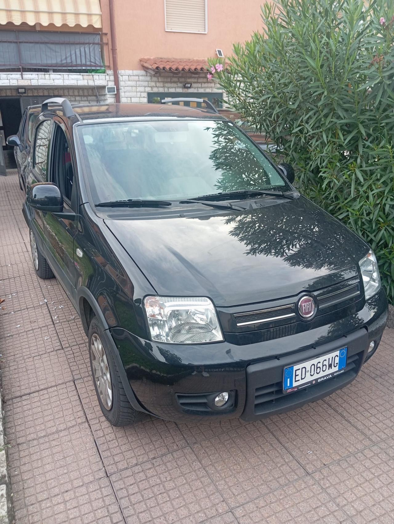 Fiat Panda 1.2 4x4 Glam