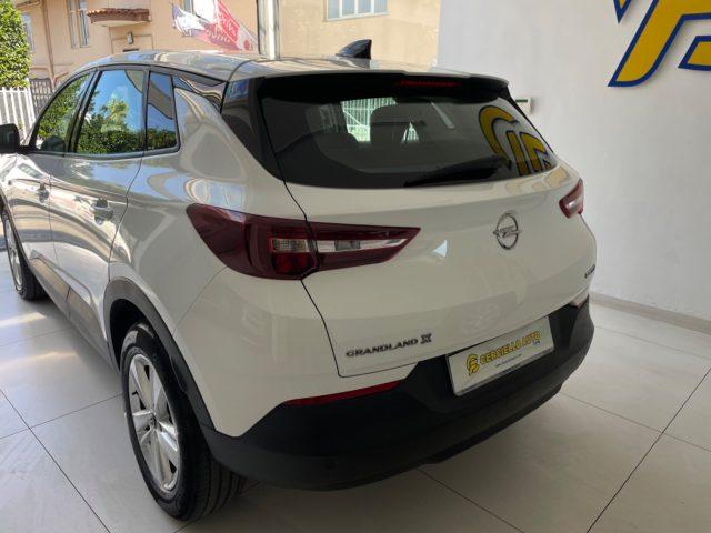 OPEL Grandland X 1.5 diesel Ecotec Ss Business Edition da?199,00