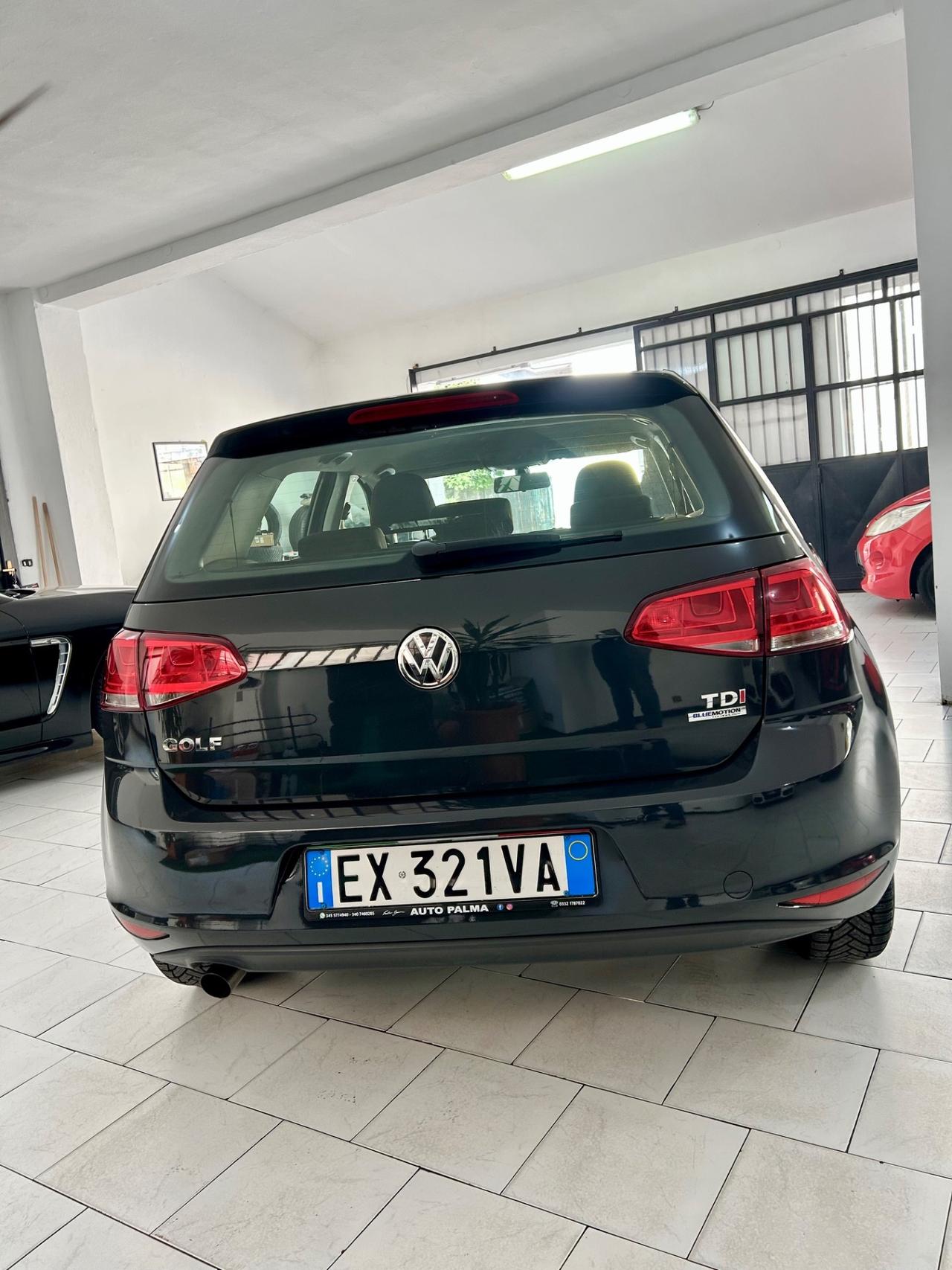 Volkswagen Golf 1.6 TDI 5p. Highline BlueMotion Technology