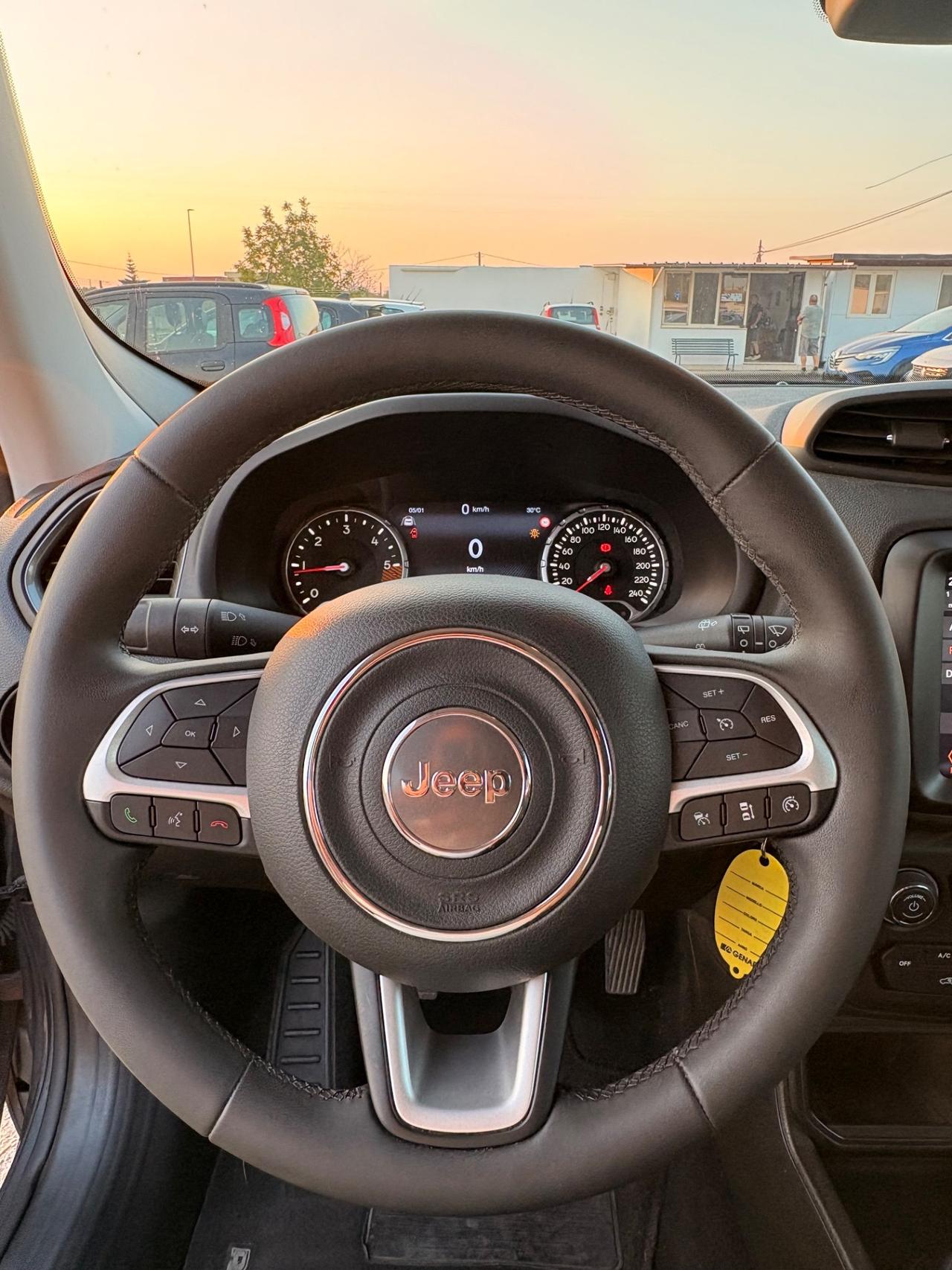 Jeep Renegade 1.6 Mjt 130 CV Limited