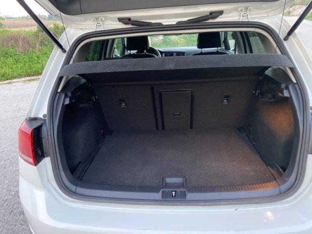 VOLKSWAGEN Golf 1.6 TDI 115 CV 5p. Business BlueMotion Technology