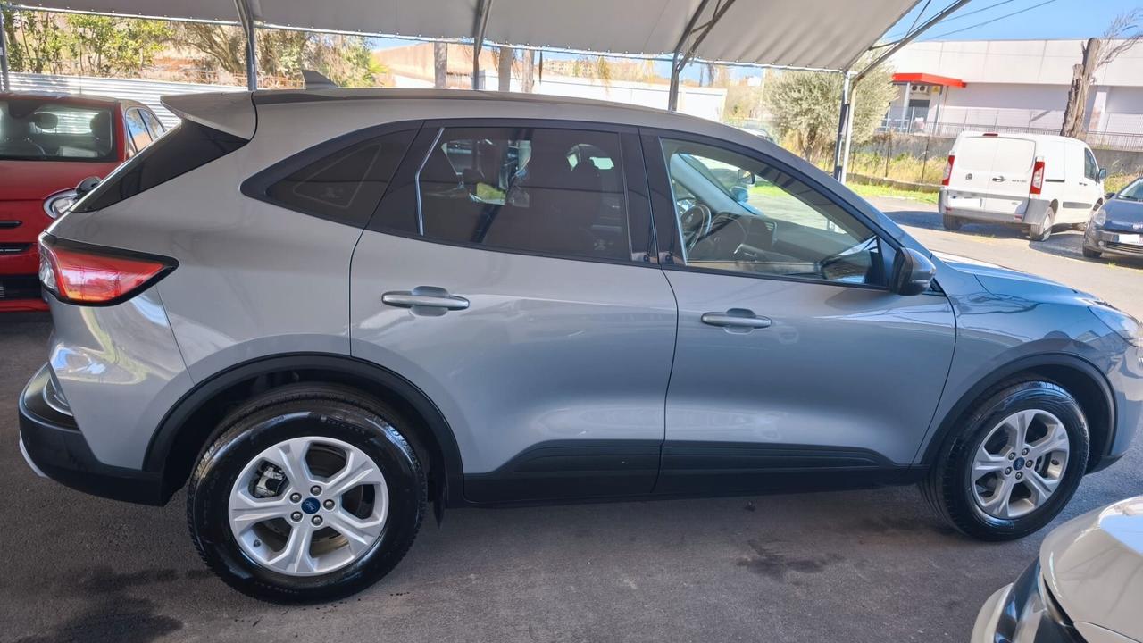 Ford Kuga 1.5 EcoBlue 120 CV aut. 2WD Connect