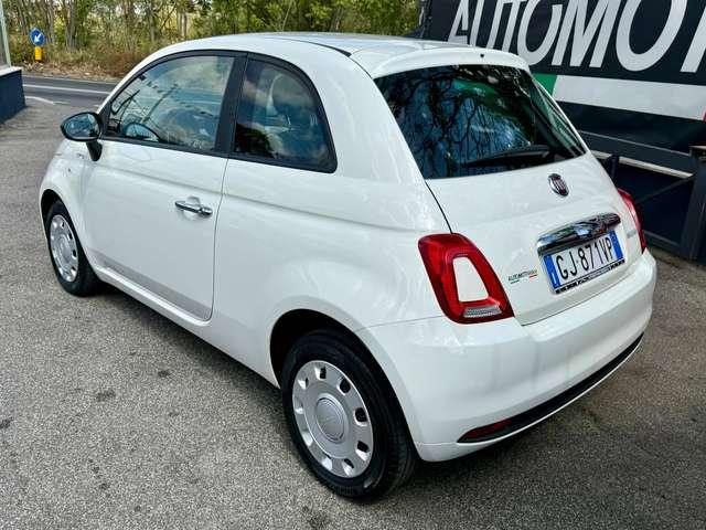 Fiat 500 500 1.0 hybrid Cult 70cv PRONTA CONSEGNA