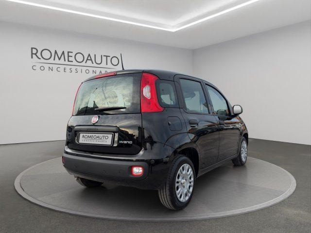 FIAT Panda 1.0 Hybrid 70cv 5 posti