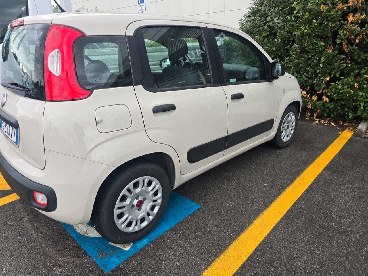 Fiat Panda 1.2 EasyPower Pandazzurri GPL