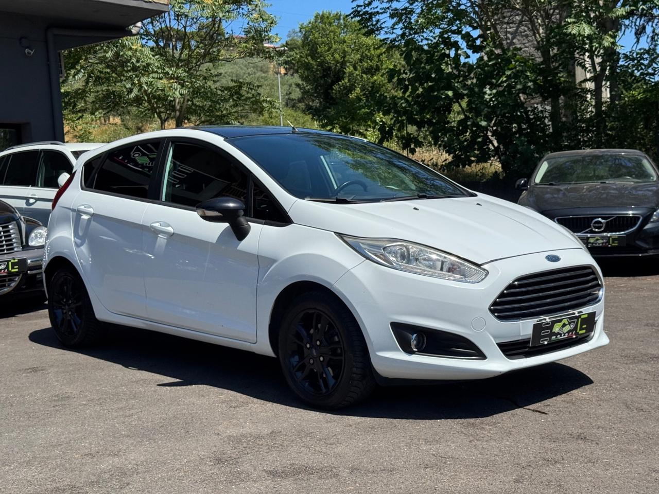 Ford Fiesta 1.5 TDCi 75CV 5 porte Black & White Edition