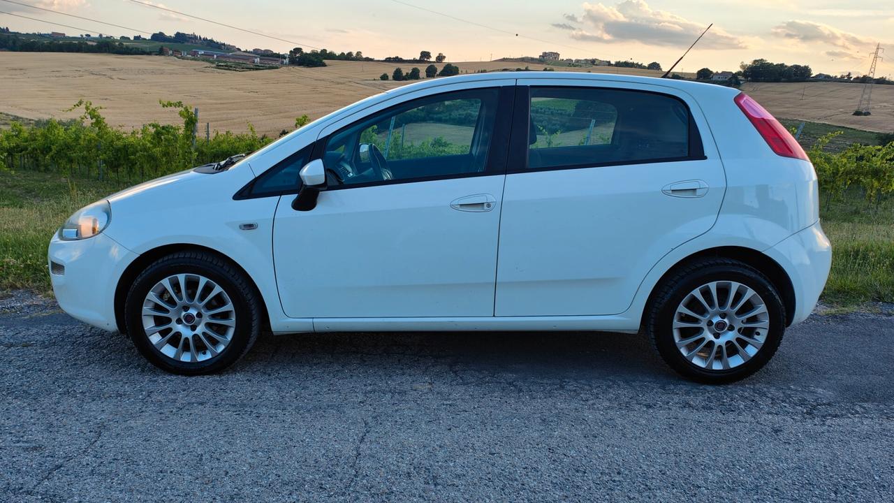Fiat Punto 1.4 5 porte - neopatentati