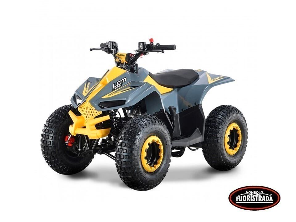 Lem Motor Quad, Grizzly 110cc