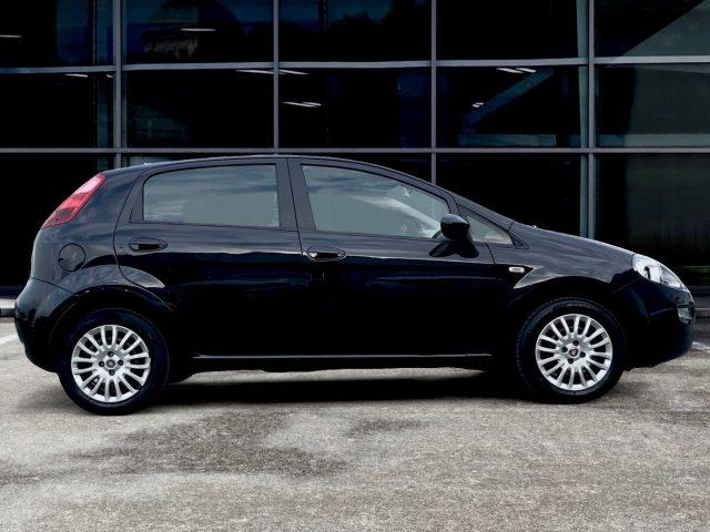 FIAT Punto 1.2 BENZ 69 CV 8V 5 porte Lounge