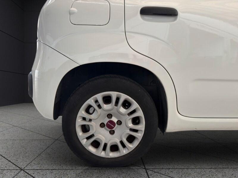FIAT Panda 3ª serie Panda 1.2 Easy
