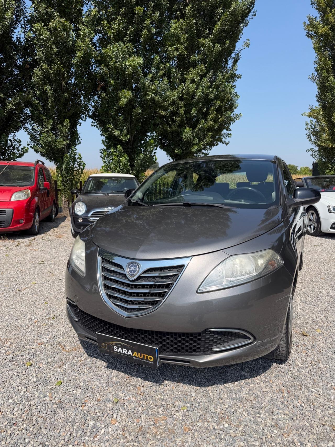 Lancia Ypsilon 1.2 69 CV 5 porte GPL Ecochic Elefantino
