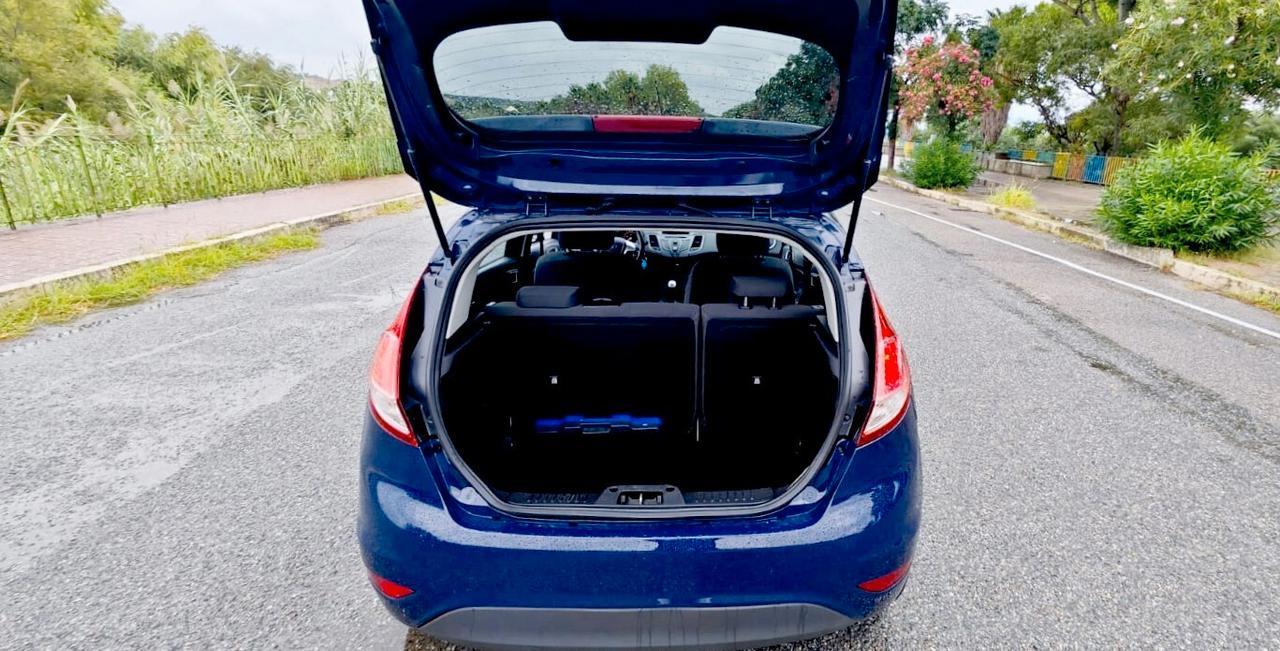 Ford Fiesta 1.0 EcoBoost 100CV 5 porte Powershift Titanium