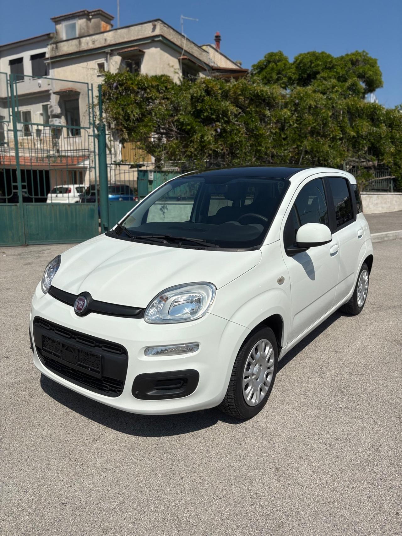 Fiat Panda 1.2 Benzina Young