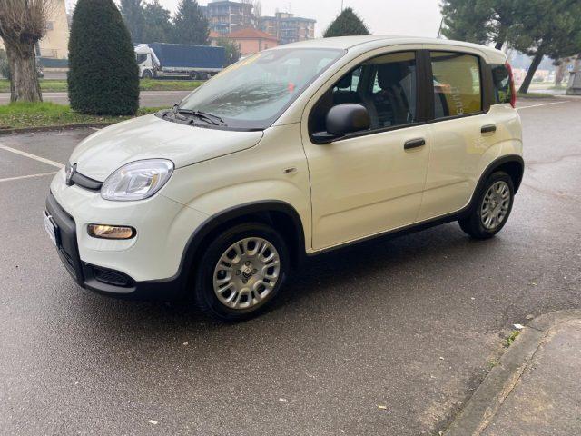 FIAT Panda 1.0 FireFly S&S Hybrid Pandina