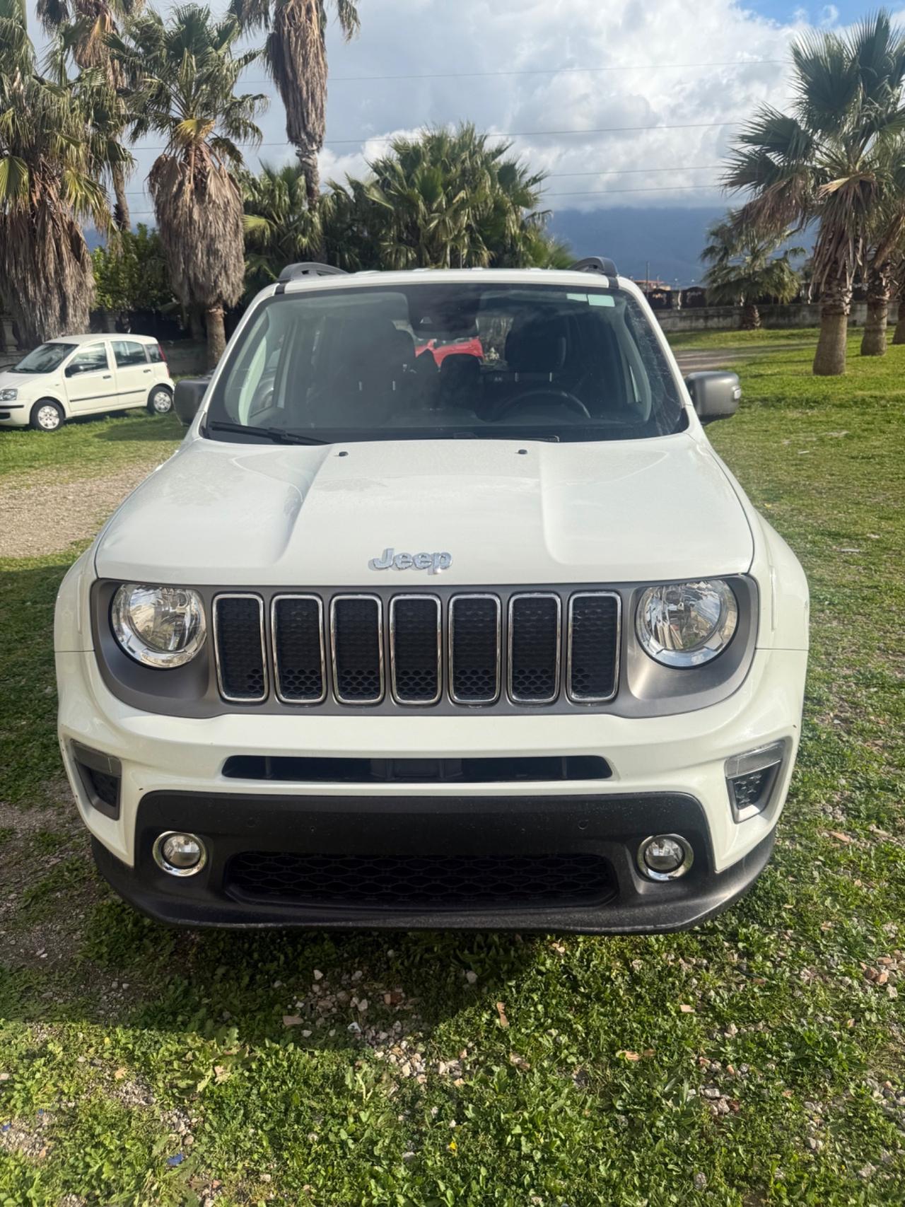 Jeep Renegade 1.6 Mjt 130 CV Limited Navi Camera