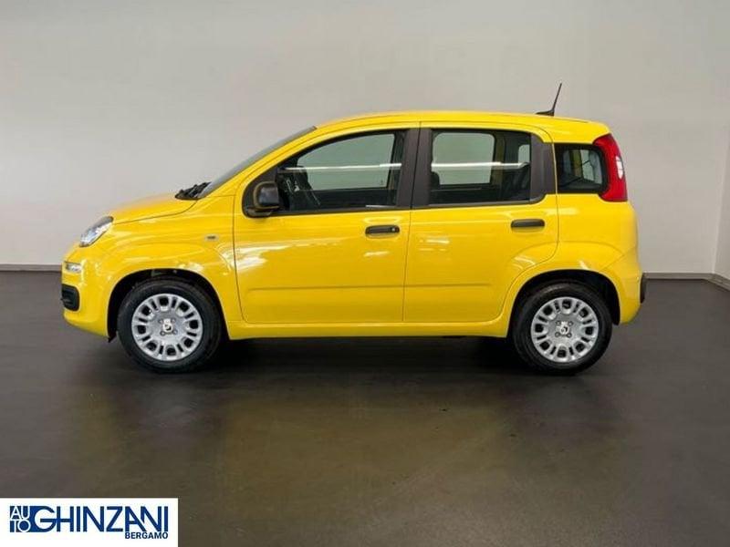 FIAT Panda 1.0 FireFly S&S Hybrid - Km0