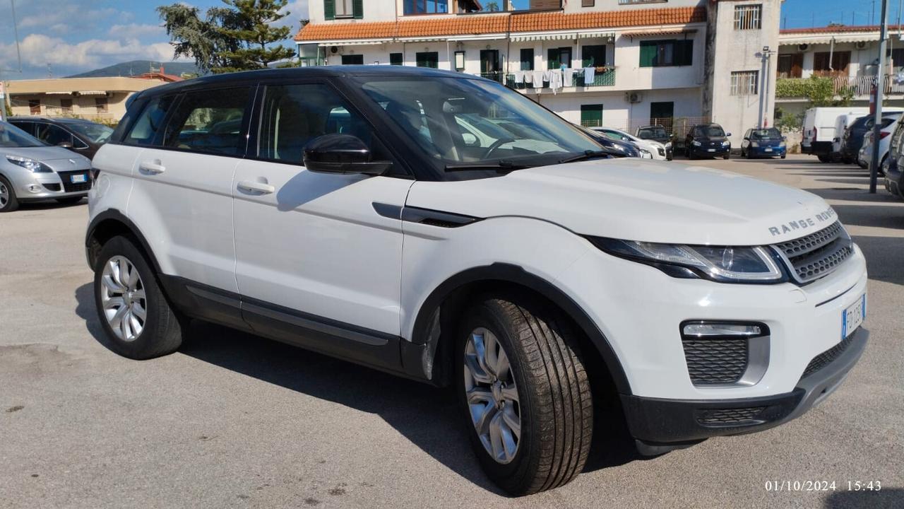 Land Rover Range Rover Evoque Range Rover Evoque 2.0 TD4 150 CV 5p. Business Edition