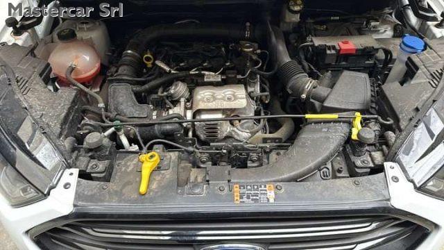 FORD EcoSport NEOPATENTATI EcoSport 1.0 Active TG : GL004SW