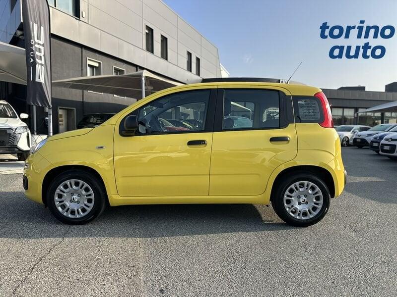FIAT Pandina Pandina 1.0 firefly hybrid Pop s&s 65cv
