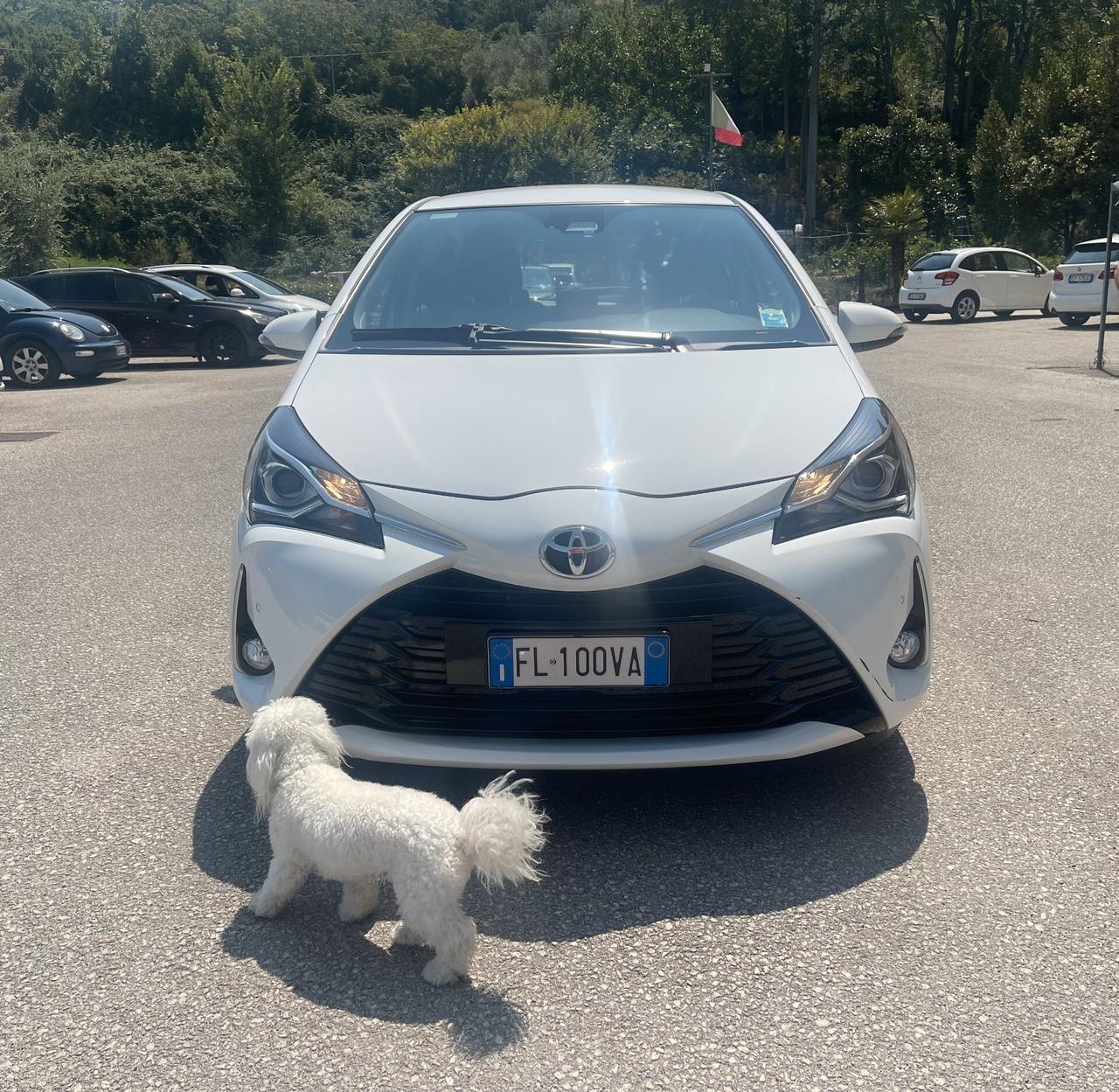 Toyota Yaris 1.0 5 porte Cool