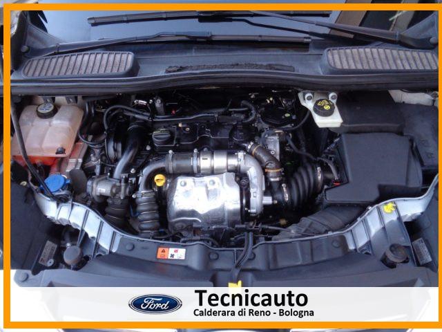 FORD C-Max 1.6 TDCi 95CV Plus