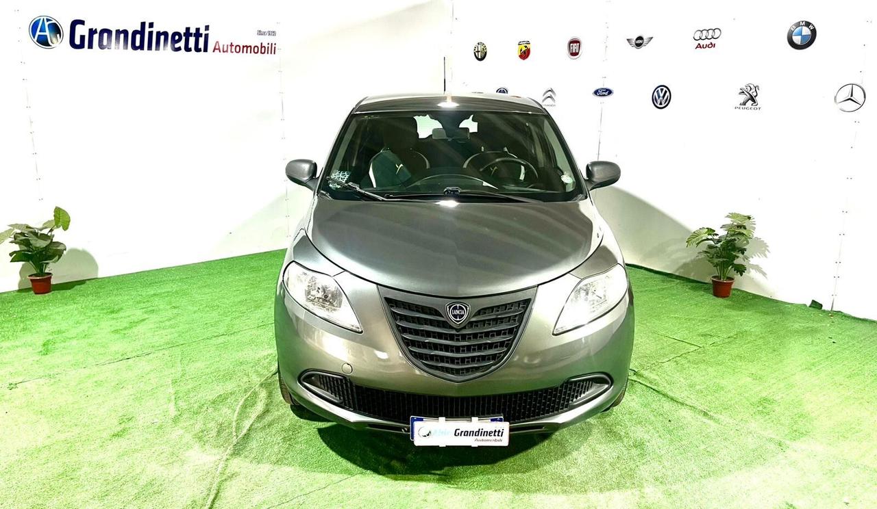 Lancia Ypsilon 1.2 69 CV Platinum anno 2015