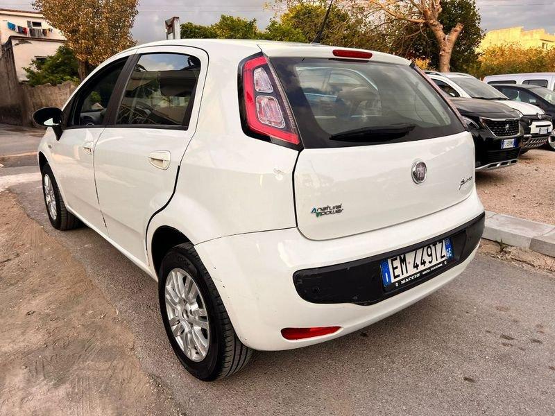 FIAT Punto Punto 1.4 8V 5 porte Natural Power Easy