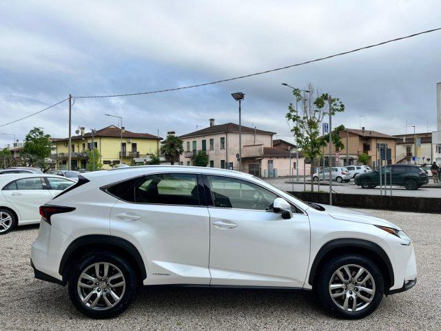 LEXUS NX 300 Hybrid 4WD EXECUTIVE