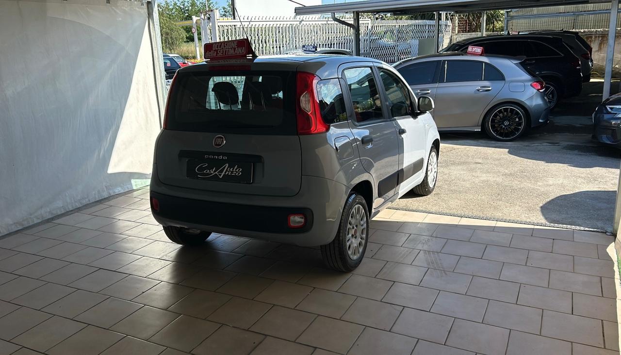 Fiat Panda 1.2 Benzina 69 cv Easy 2018