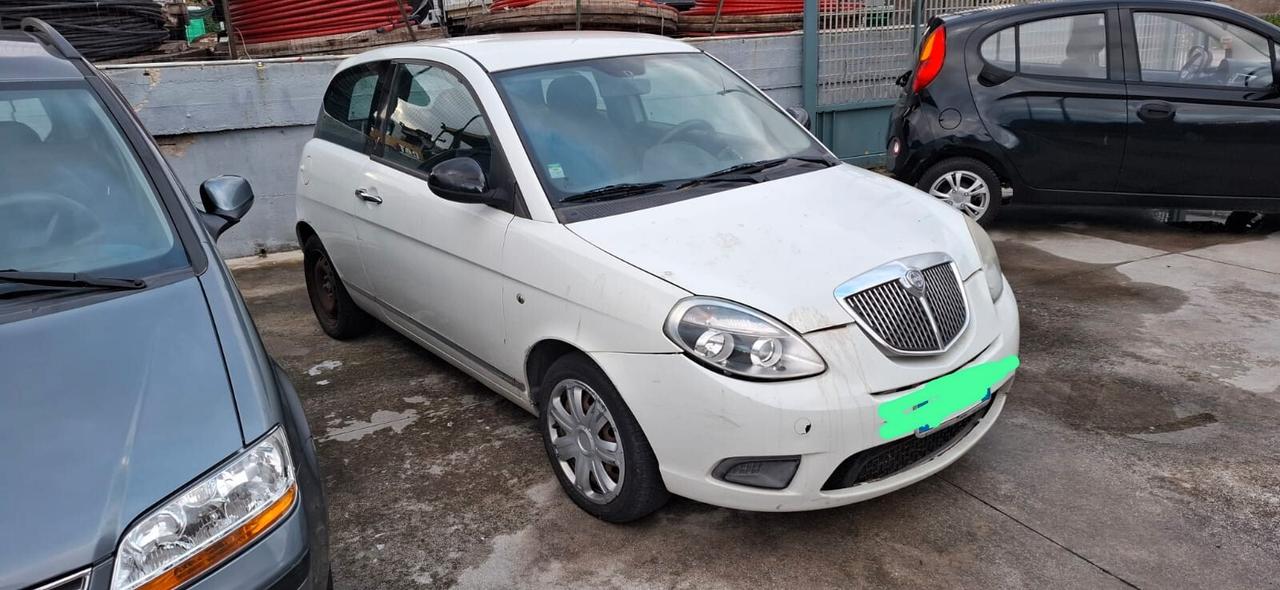 2010 Lancia Ypsilon 1.3 MJT 75 CV Platino