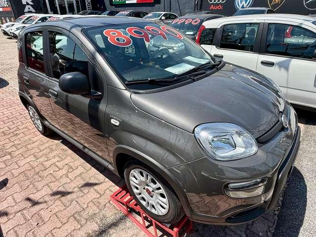 Fiat Panda Panda 1.0 firefly hybrid PRONTA CONSEGNA DISPONIBILI VARI COLORI