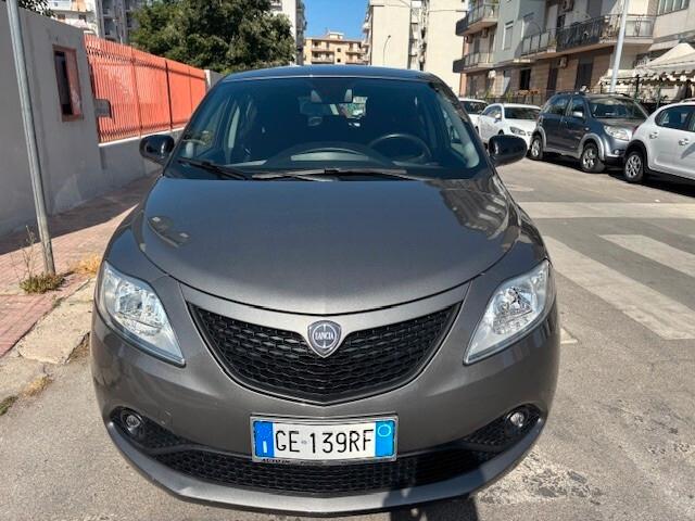 Lancia Ypsilon Neopatentato Anche permuta