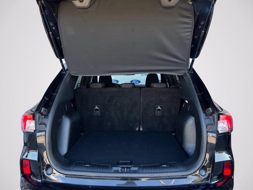 FORD Kuga 1.5 EcoBlue 120 CV aut. 2WD ST-Line del 2023