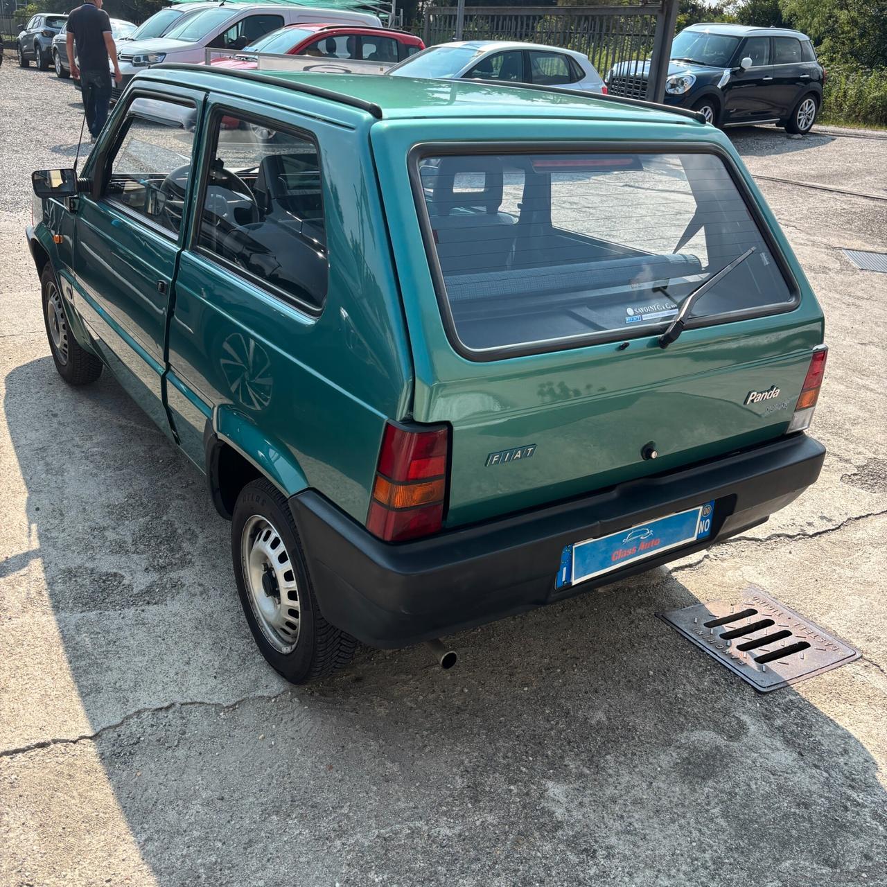 Fiat Panda 900 i.e. cat Young