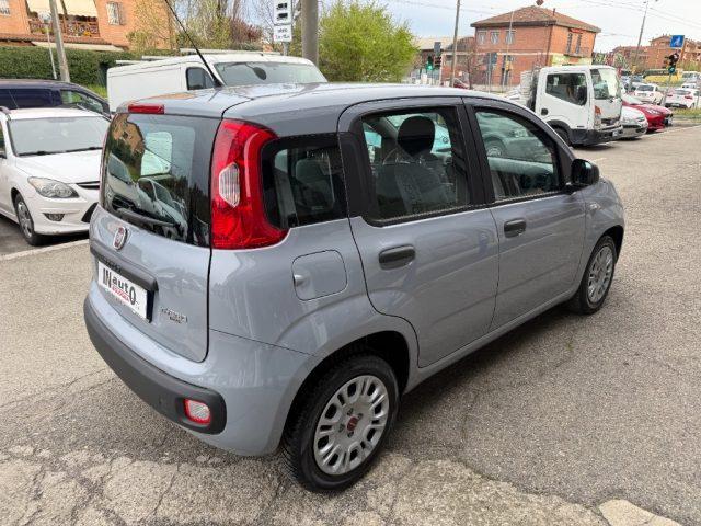 FIAT Panda 1.0 FireFly S&S Hybrid City Life APPLE/ANDROID AUT