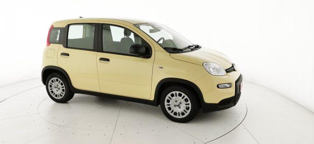 FIAT Panda 1.0 FireFly S&S Hybrid - KM ZERO