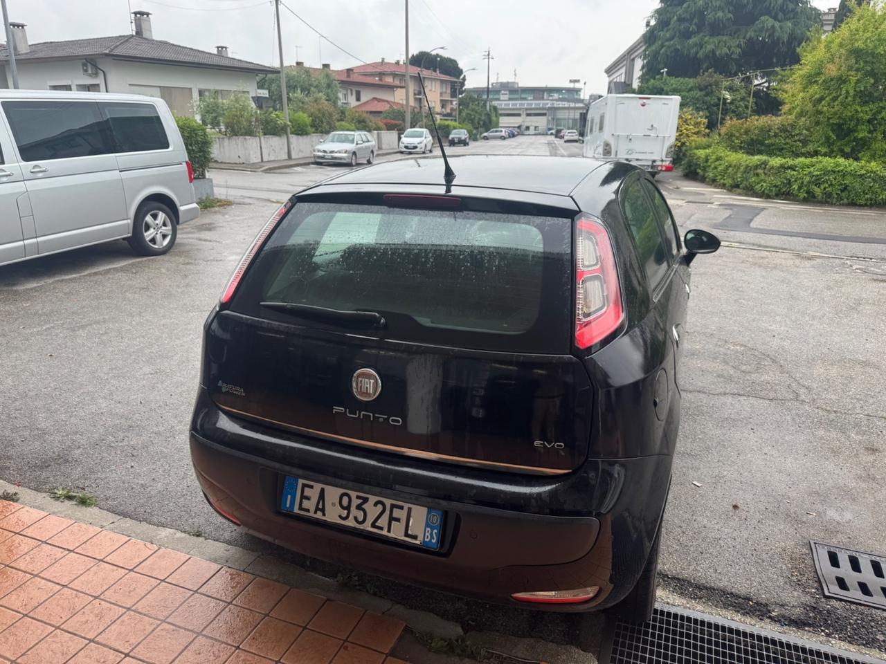 Fiat Punto Evo Punto Evo 1.2 5 porte Dynamic