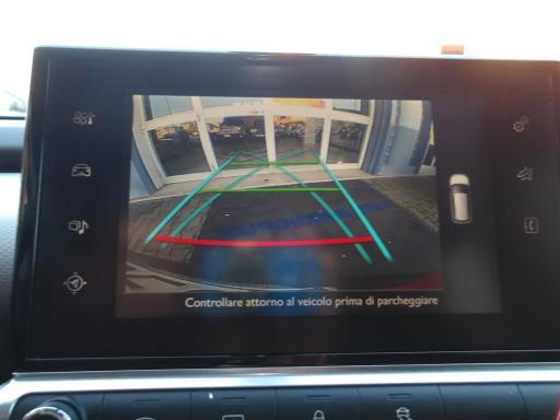 Citroen C4 Cactus 1.6 bluehdi Shine 100cv