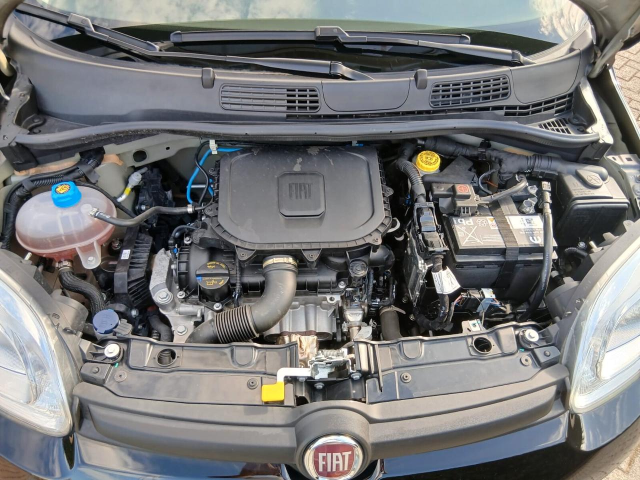 Fiat Panda Firefly sas hybrid