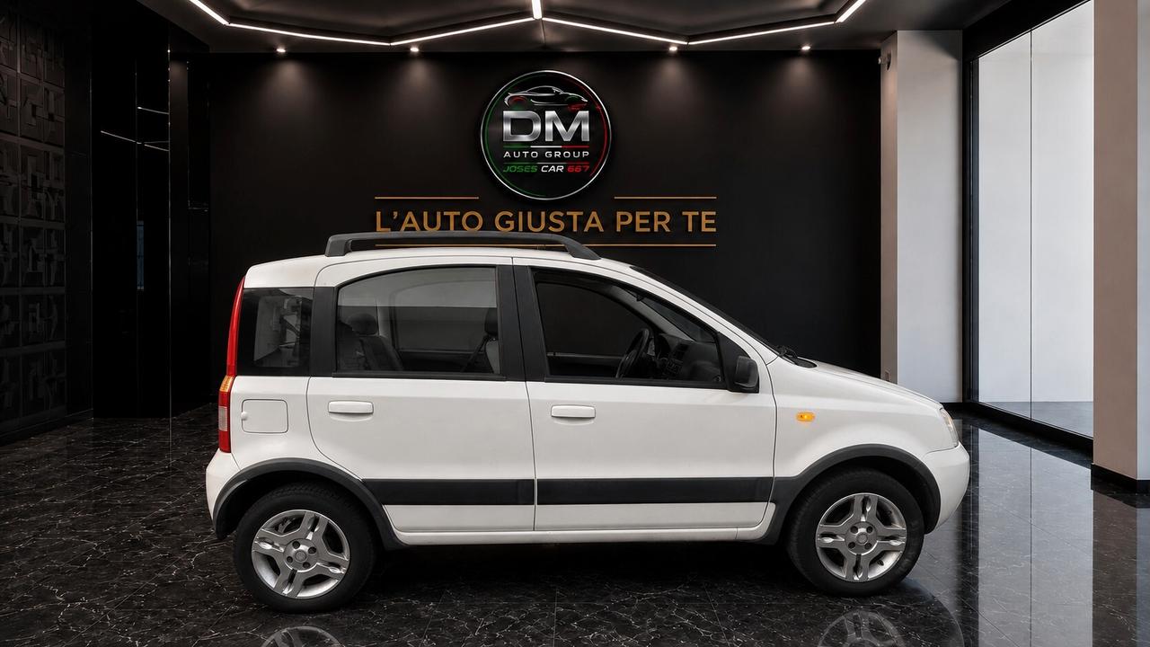 Fiat Panda 1.2 Climbing Natural Power
