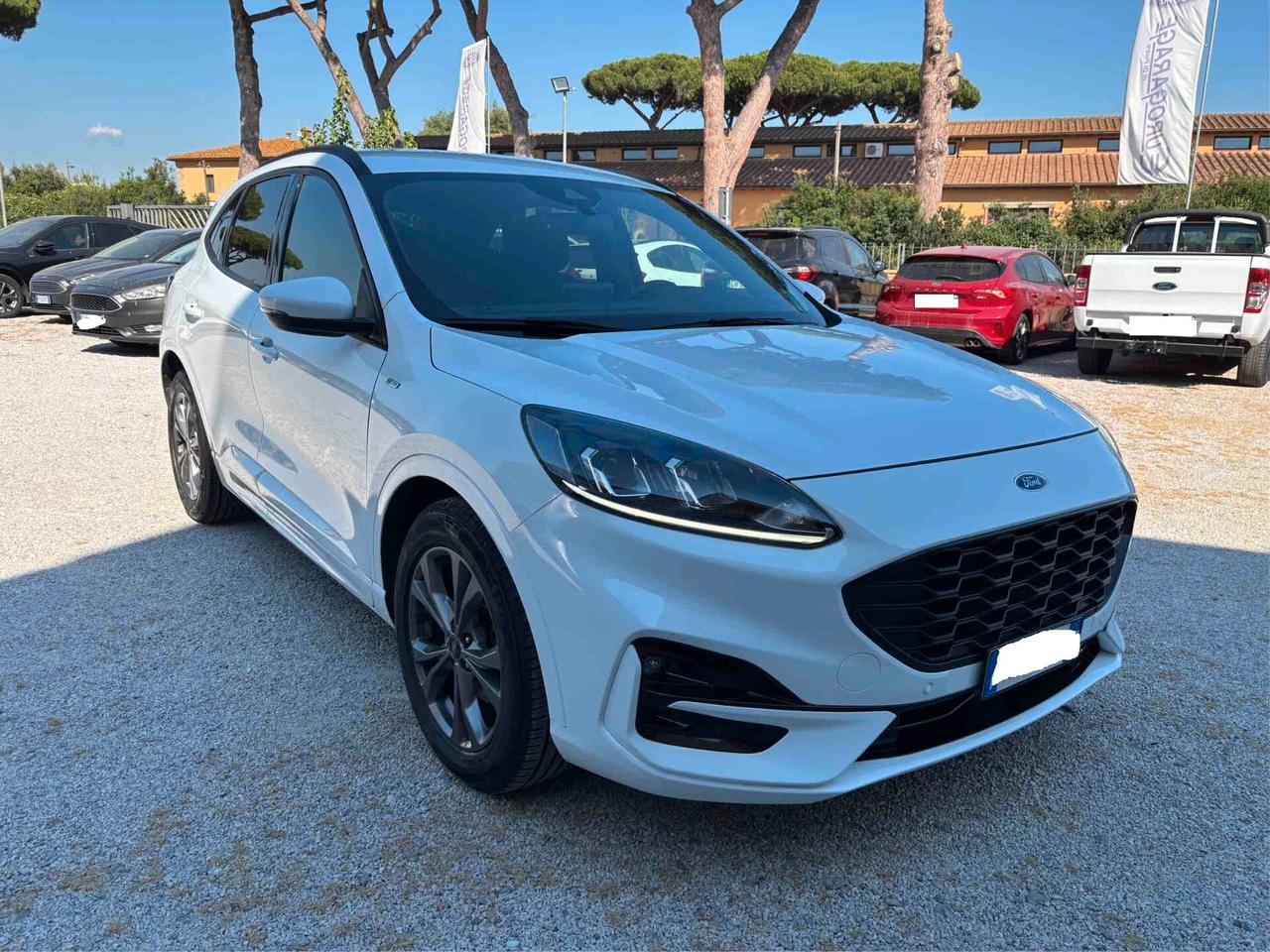 Ford Kuga 1.5 EcoBlue 120 CV 2WD ST-Line