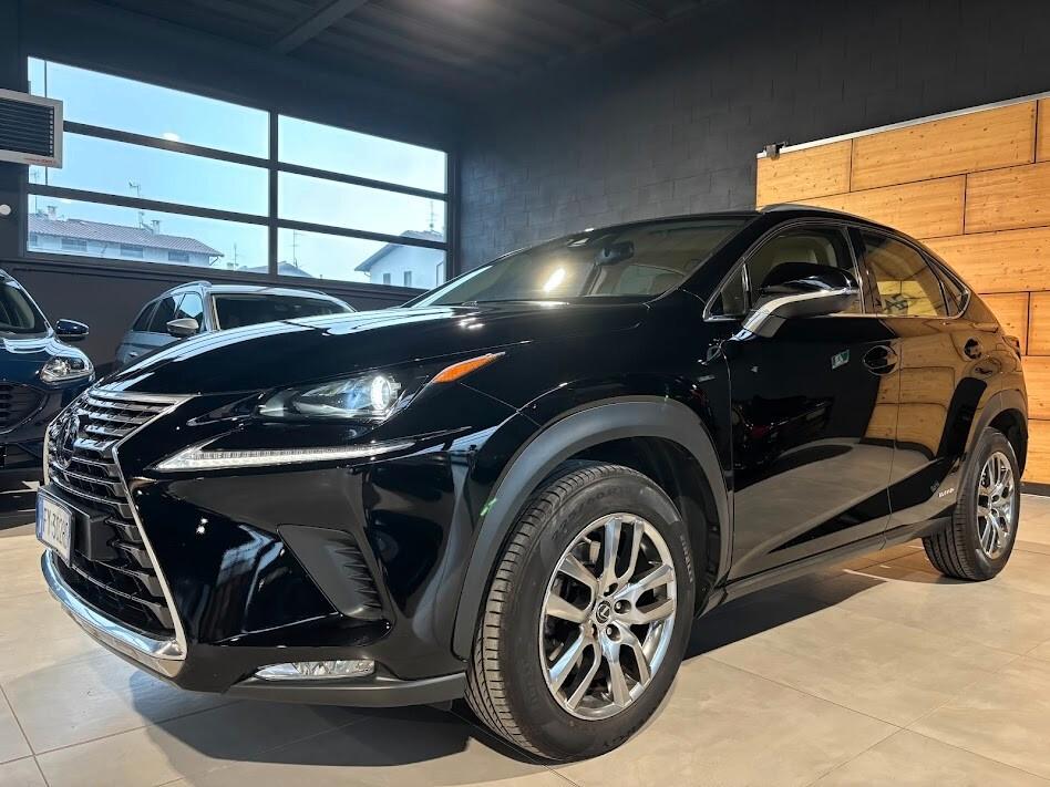 Lexus NX 300h Hybrid 4WD Executive 155cv
