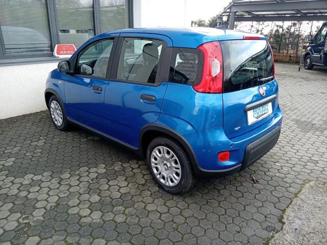 FIAT Panda 1.0 MILD HYBRID MANUALE PANDINA OK NEOPATENTATO