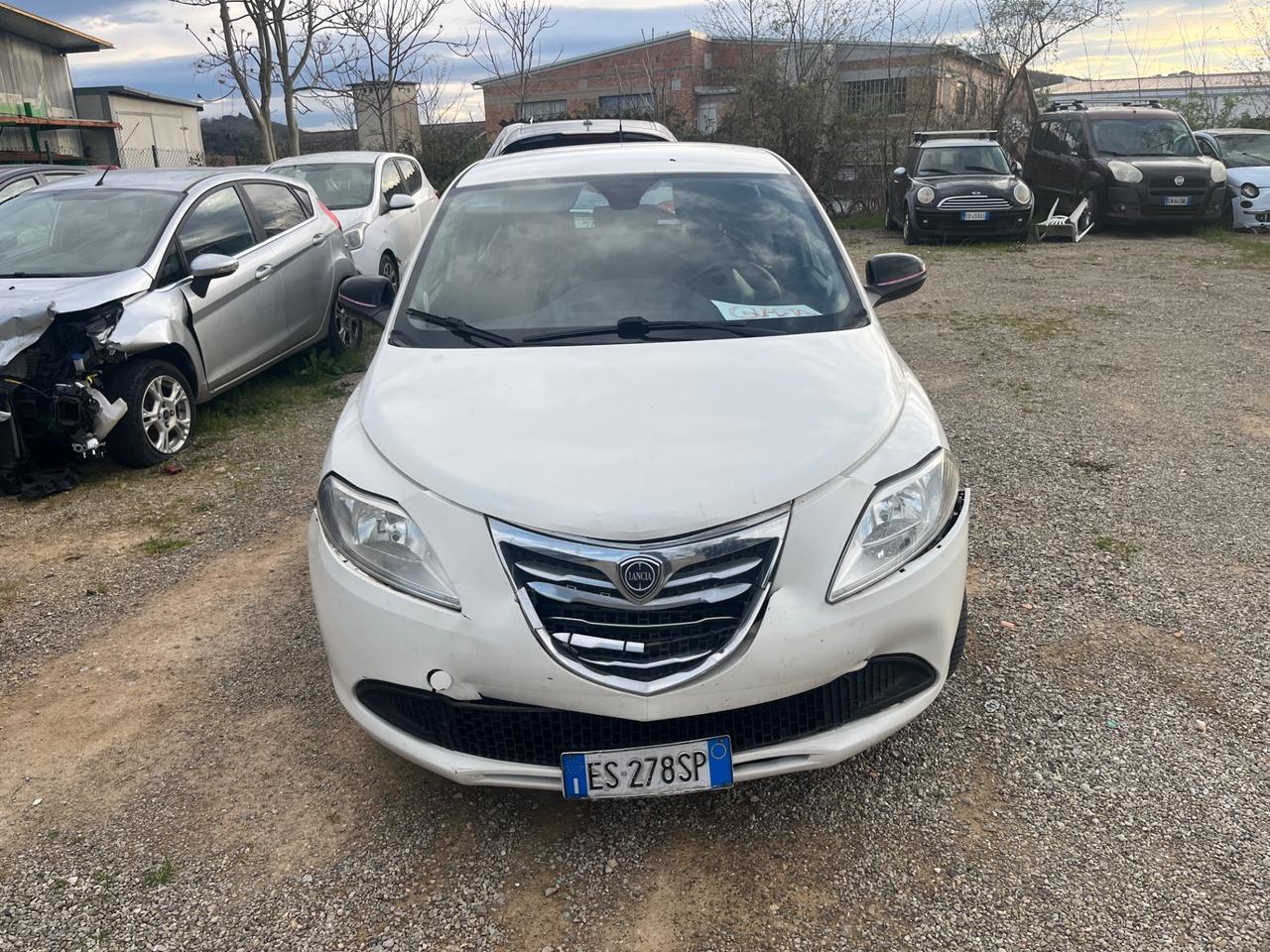 Lancia Ypsilon 1.3 MJT 16V 95 CV 5 porte S&S Platinum
