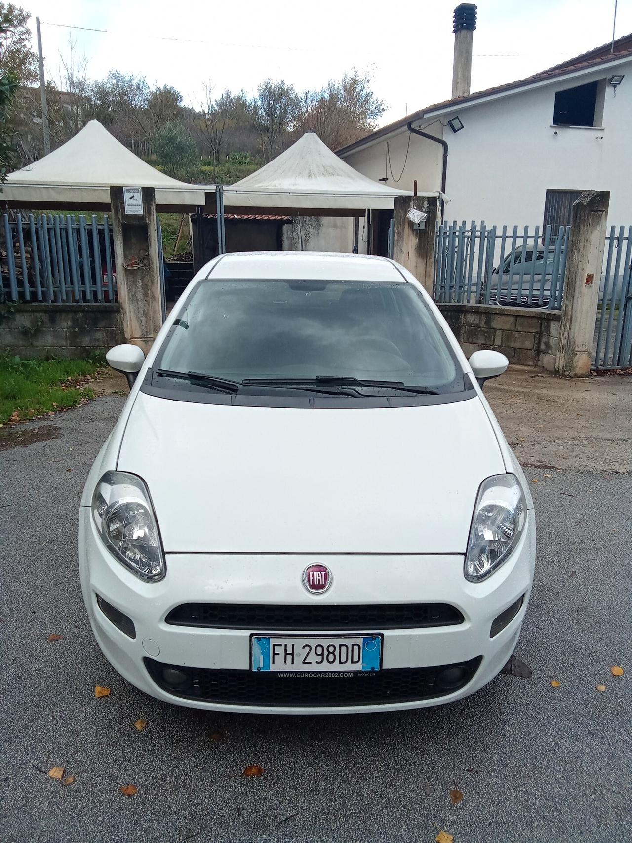 Fiat Punto 1.3 MJT 80cc Van Easy 4 posti 017