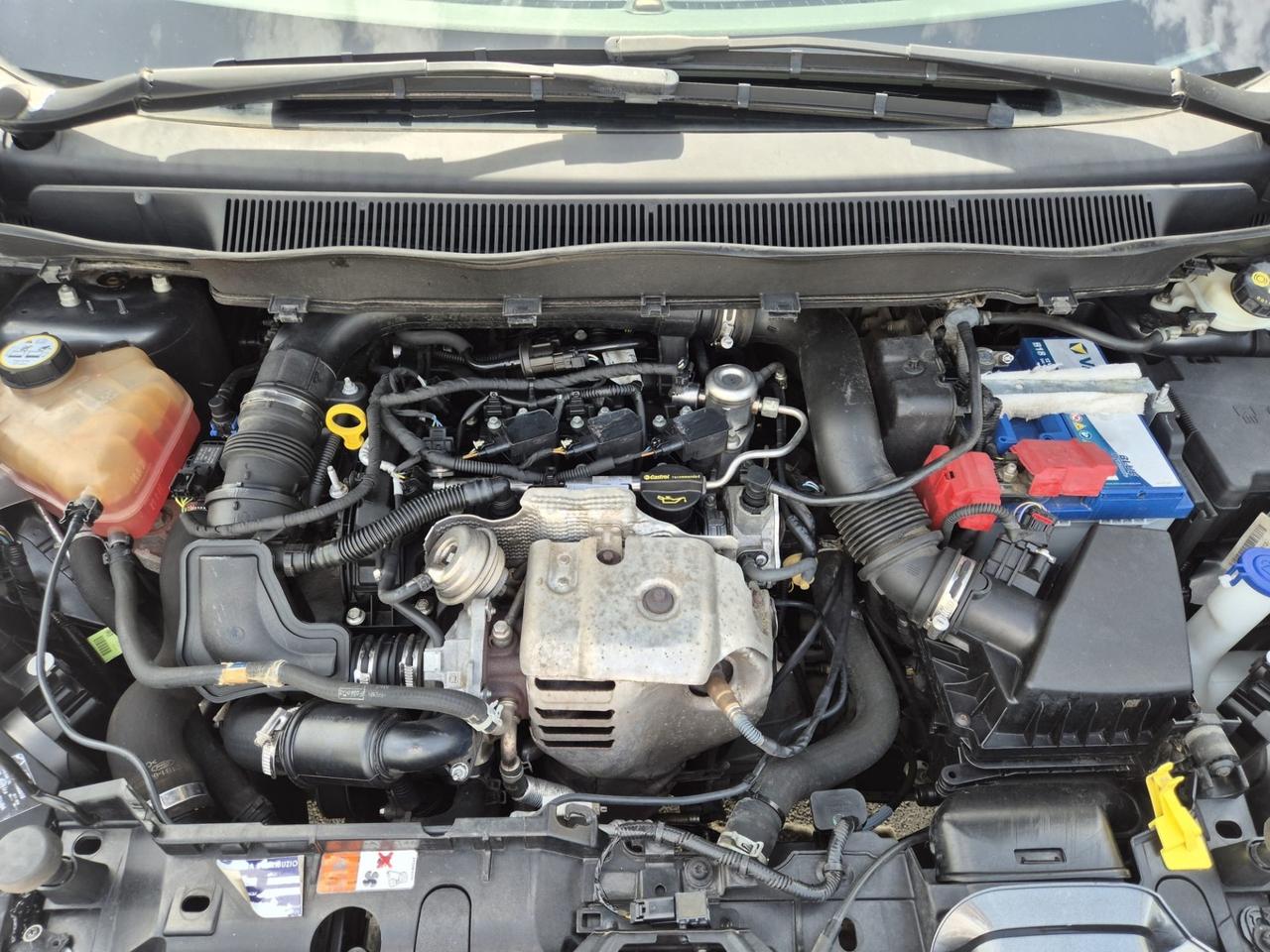 Ford B-Max 1.0 EcoBoost 100 CV
