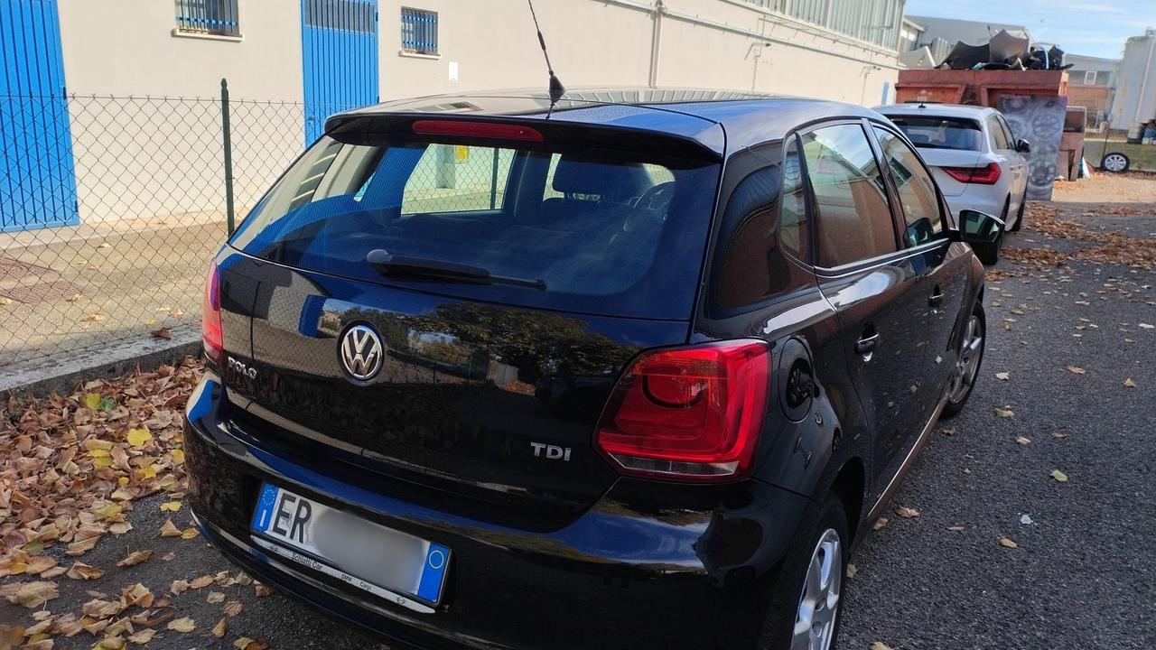 Volkswagen Polo 5 Porte adatta a neopatentati